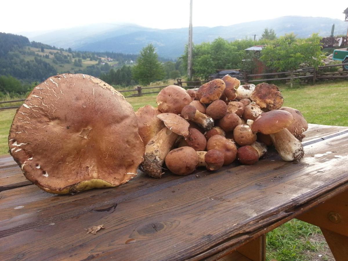 Babia Chata Zawoja Zewnętrze zdjęcie